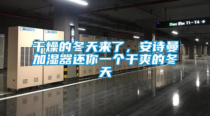 干燥的冬天來了，安詩曼加濕器還你一個干爽的冬天