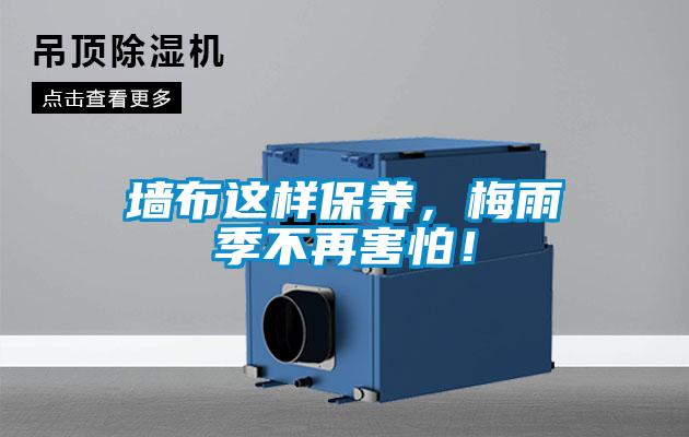墻布這樣保養(yǎng)，梅雨季不再害怕！
