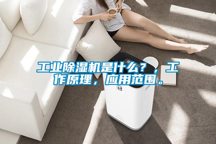 工業(yè)除濕機(jī)是什么？，工作原理，應(yīng)用范圍。