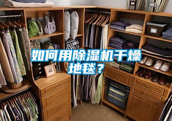 如何用除濕機(jī)干燥地毯？