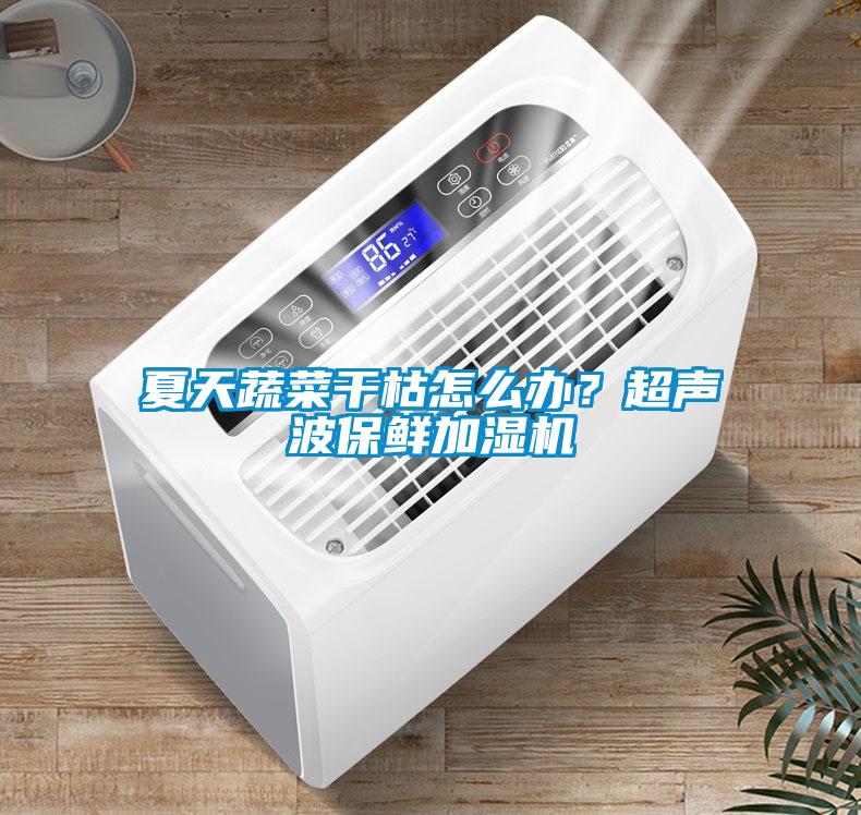 夏天蔬菜干枯怎么辦？超聲波保鮮加濕機(jī)