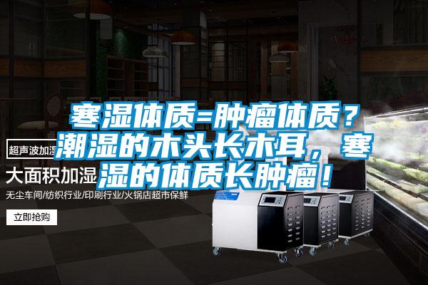 寒濕體質(zhì)=腫瘤體質(zhì)？潮濕的木頭長木耳，寒濕的體質(zhì)長腫瘤！