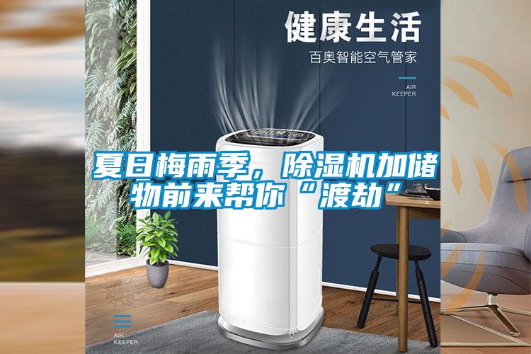 夏日梅雨季，除濕機(jī)加儲(chǔ)物前來幫你“渡劫”