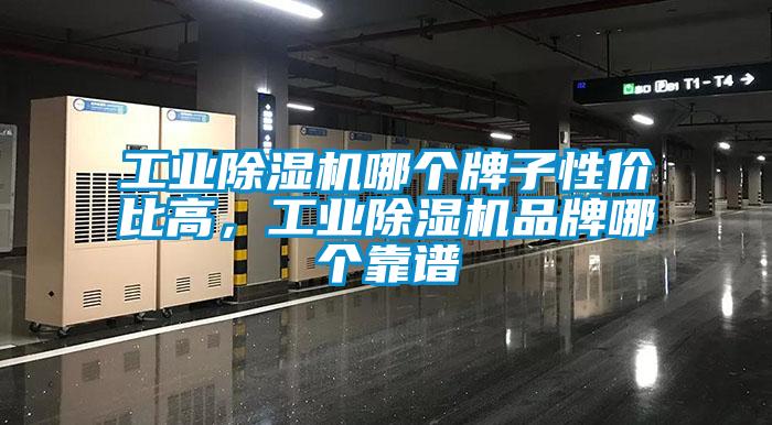 工業(yè)除濕機哪個牌子性價比高，工業(yè)除濕機品牌哪個靠譜