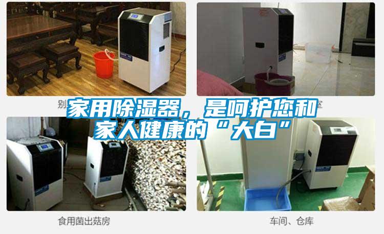 家用除濕器，是呵護(hù)您和家人健康的“大白”