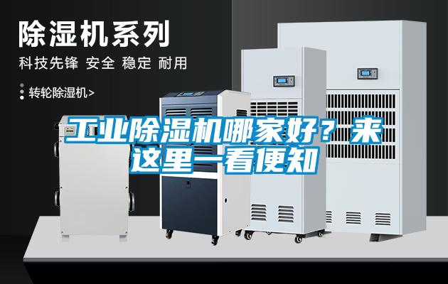 工業(yè)除濕機哪家好？來這里一看便知