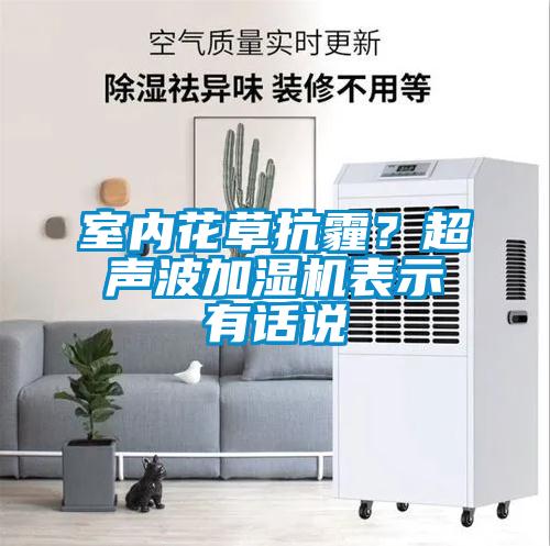 室內(nèi)花草抗霾？超聲波加濕機(jī)表示有話說
