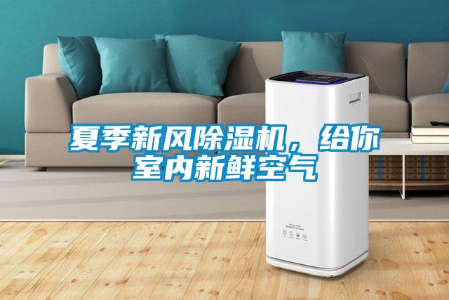 夏季新風(fēng)除濕機，給你室內(nèi)新鮮空氣