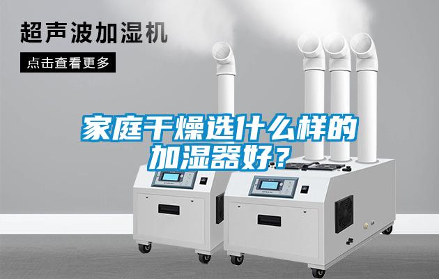 家庭干燥選什么樣的加濕器好？