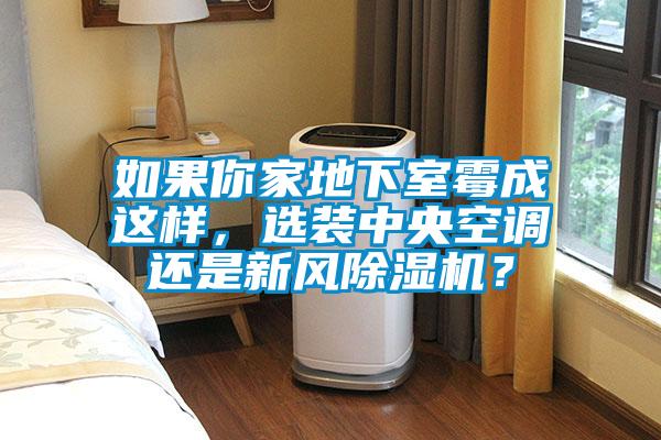 如果你家地下室霉成這樣，選裝中央空調(diào)還是新風(fēng)除濕機(jī)？