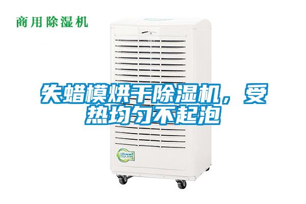 失蠟模烘干除濕機，受熱均勻不起泡
