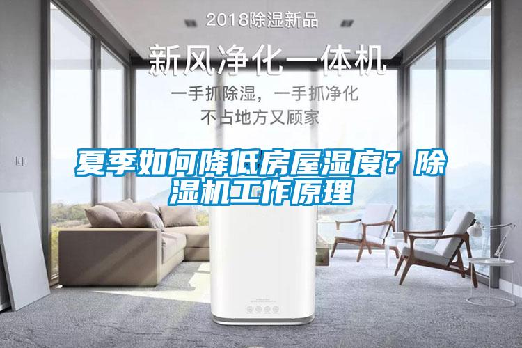 夏季如何降低房屋濕度？除濕機工作原理