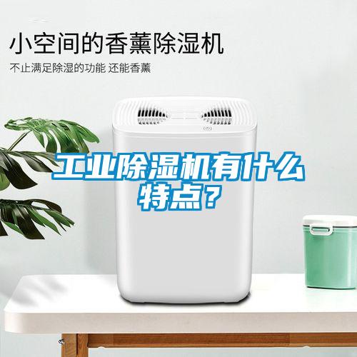 工業(yè)除濕機(jī)有什么特點(diǎn)？