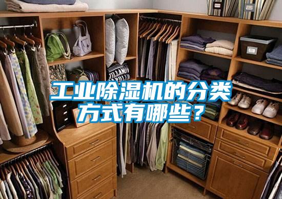 工業(yè)除濕機(jī)的分類(lèi)方式有哪些？