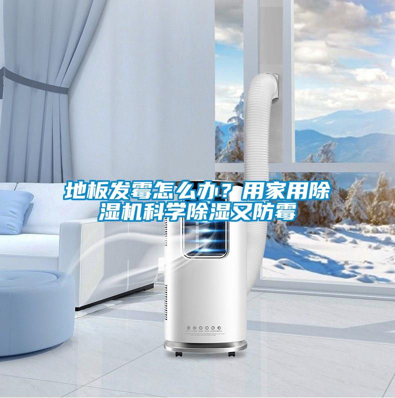 地板發(fā)霉怎么辦？用家用除濕機(jī)科學(xué)除濕又防霉