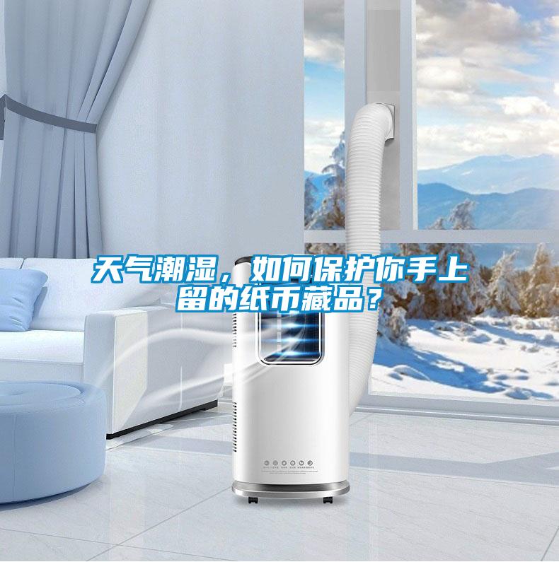 天氣潮濕，如何保護(hù)你手上留的紙幣藏品？