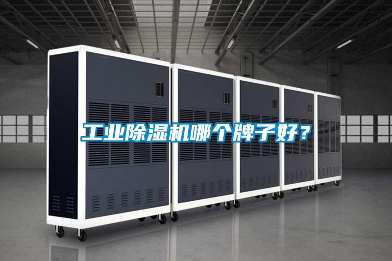 工業(yè)除濕機(jī)哪個(gè)牌子好？