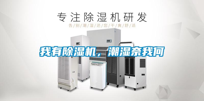 我有除濕機(jī)，潮濕奈我何