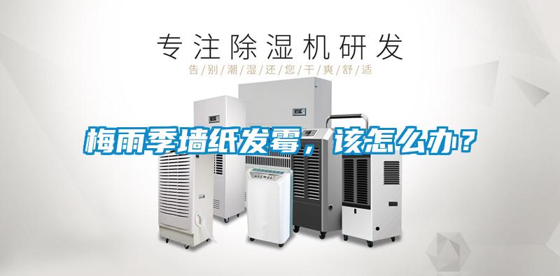 梅雨季墻紙發(fā)霉，該怎么辦？