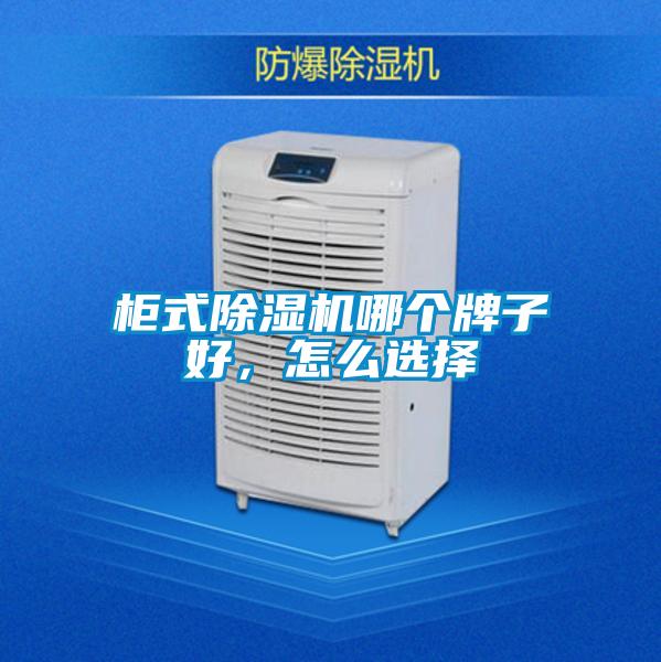 柜式除濕機(jī)哪個牌子好，怎么選擇