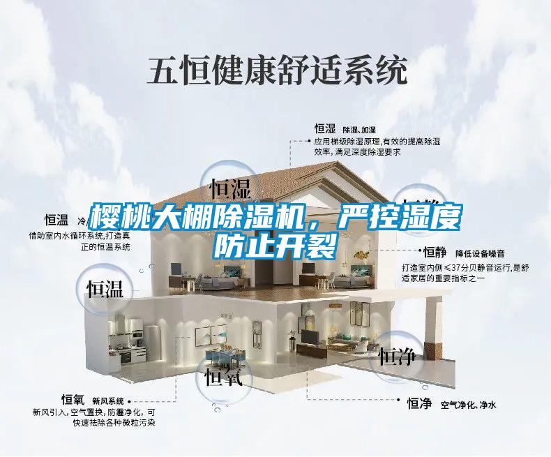 櫻桃大棚除濕機，嚴控濕度防止開裂
