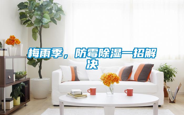 梅雨季，防霉除濕一招解決