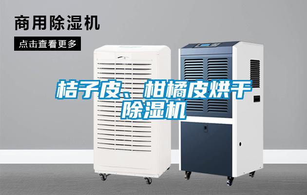 桔子皮、柑橘皮烘干除濕機