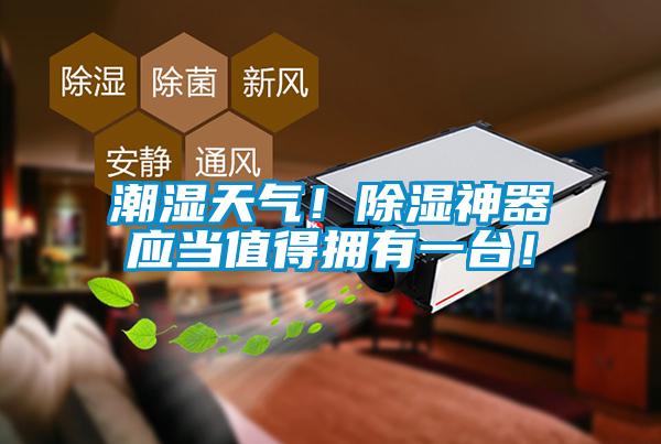 潮濕天氣！除濕神器應(yīng)當(dāng)值得擁有一臺(tái)！