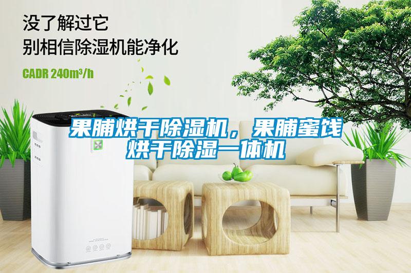 果脯烘干除濕機，果脯蜜餞烘干除濕一體機