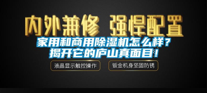 家用和商用除濕機怎么樣？揭開它的廬山真面目！