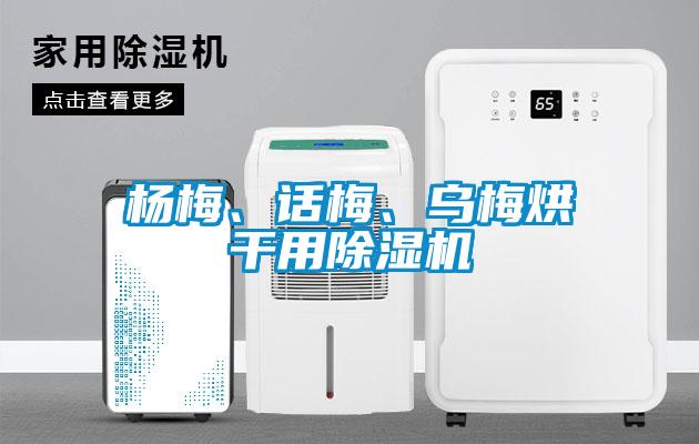 楊梅、話梅、烏梅烘干用除濕機