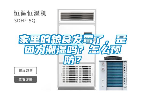 家里的糧食發(fā)霉了，是因?yàn)槌睗駟?？怎么預(yù)防？