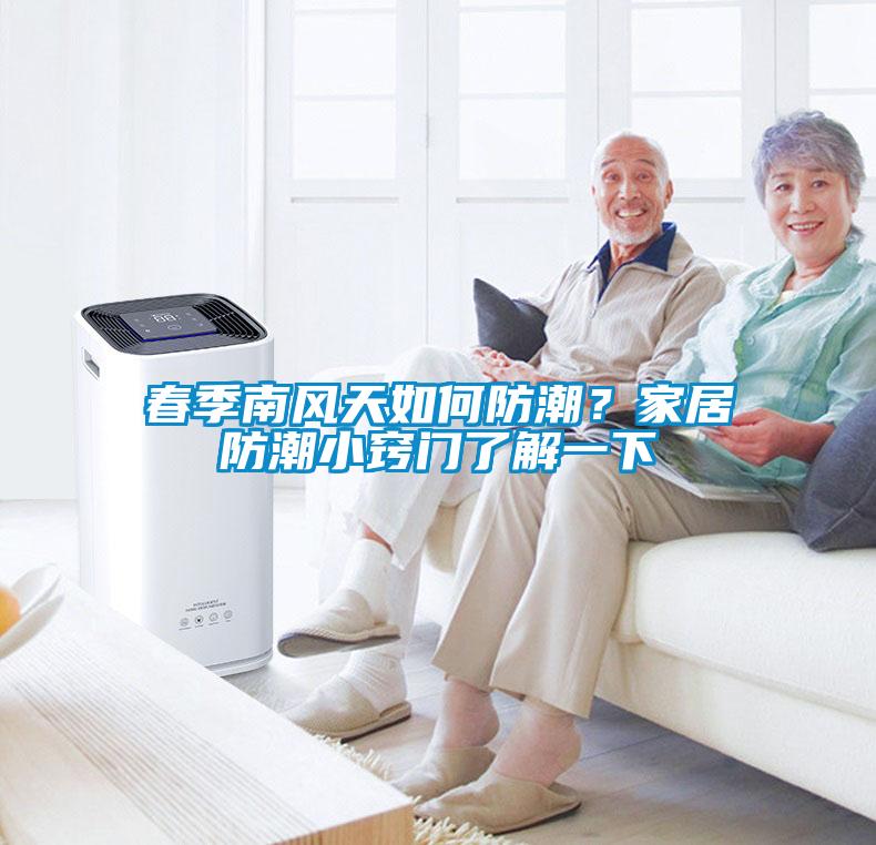 春季南風(fēng)天如何防潮？家居防潮小竅門了解一下