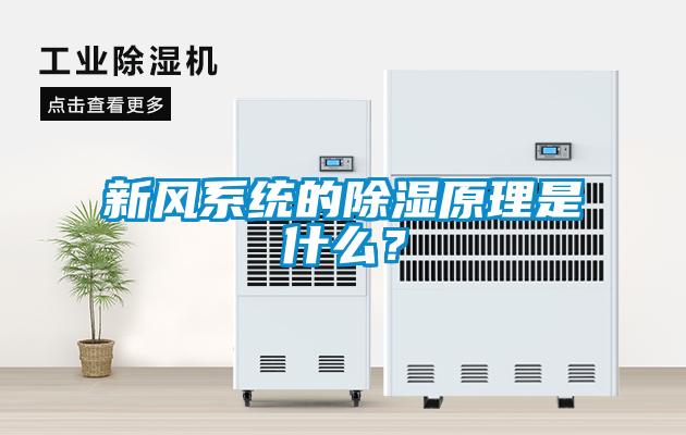 新風(fēng)系統(tǒng)的除濕原理是什么？