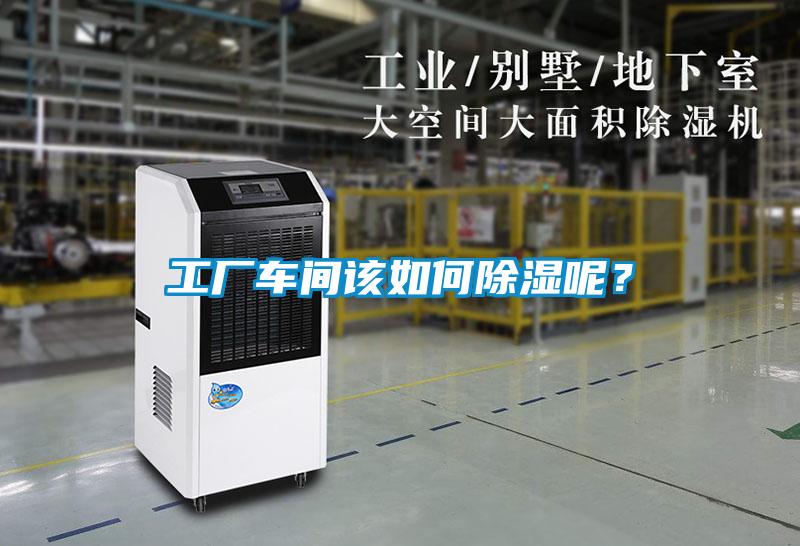 工廠車間該如何除濕呢？