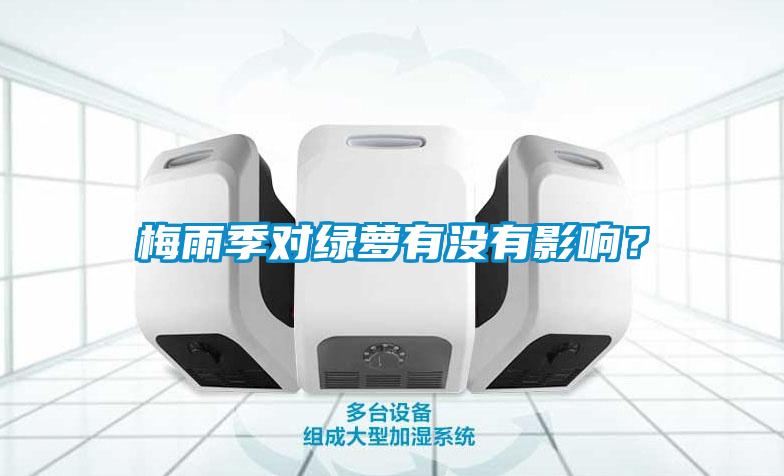 梅雨季對綠蘿有沒有影響？