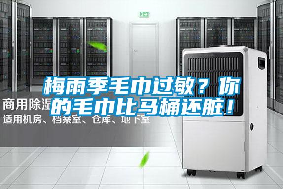 梅雨季毛巾過敏？你的毛巾比馬桶還臟！