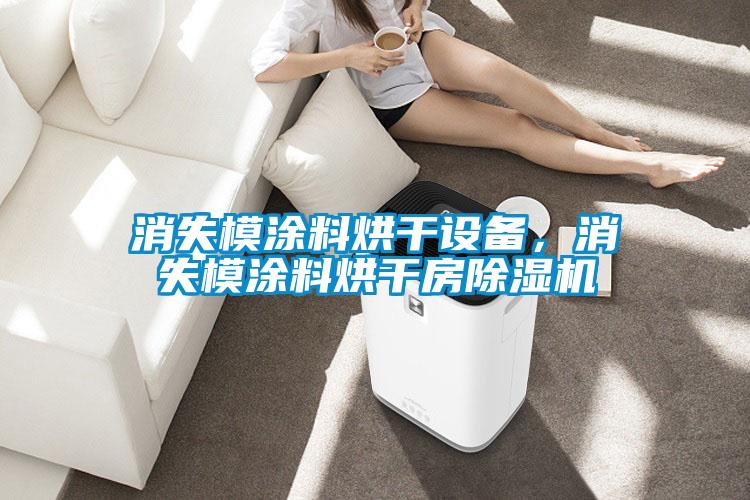 消失模涂料烘干設(shè)備，消失模涂料烘干房除濕機(jī)