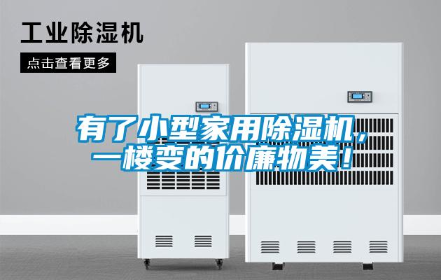有了小型家用除濕機(jī)，一樓變的價(jià)廉物美！