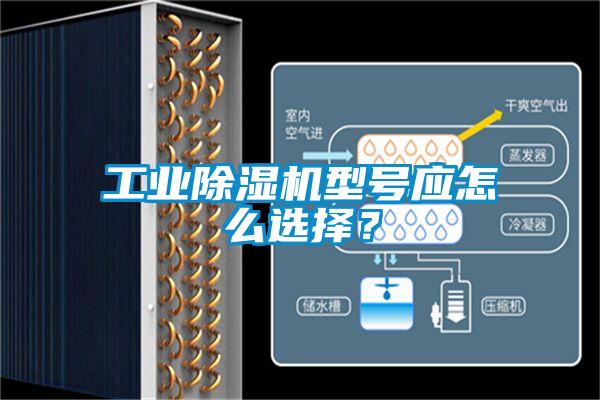 工業(yè)除濕機型號應(yīng)怎么選擇？