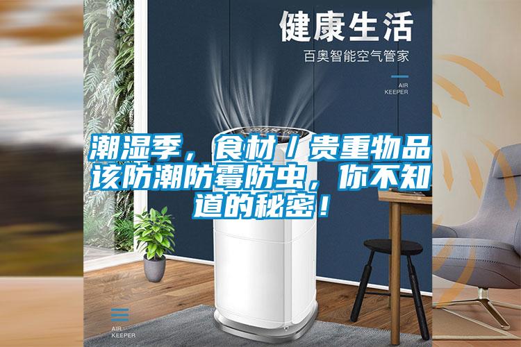 潮濕季，食材／貴重物品該防潮防霉防蟲，你不知道的秘密！