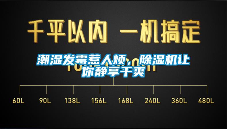 潮濕發(fā)霉惹人煩，除濕機(jī)讓你靜享干爽