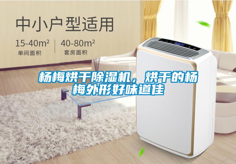 楊梅烘干除濕機(jī)，烘干的楊梅外形好味道佳