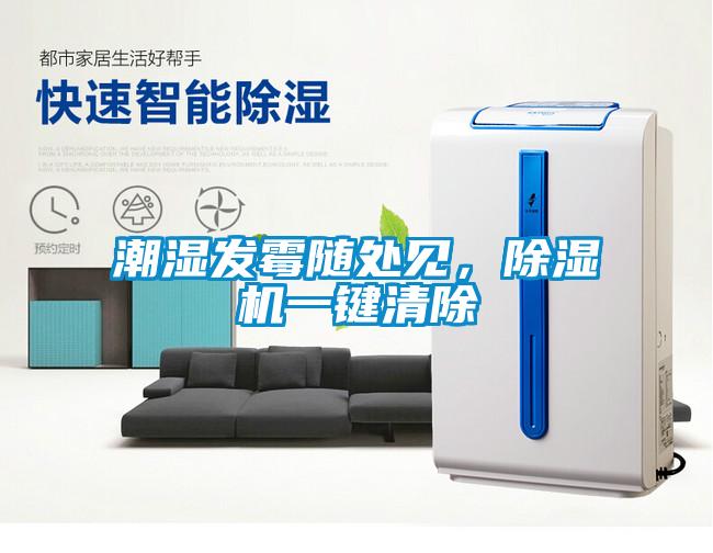 潮濕發(fā)霉隨處見，除濕機(jī)一鍵清除