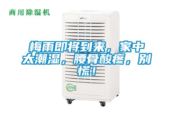 梅雨即將到來，家中太潮濕，腰骨酸疼，別慌！