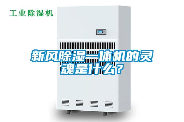 新風(fēng)除濕一體機(jī)的靈魂是什么？