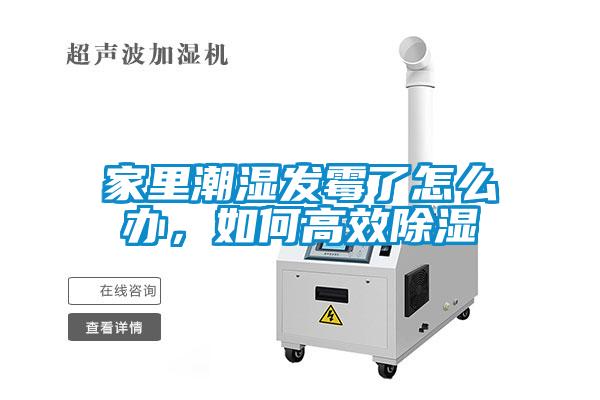 家里潮濕發(fā)霉了怎么辦，如何高效除濕