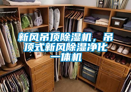 新風(fēng)吊頂除濕機，吊頂式新風(fēng)除濕凈化一體機