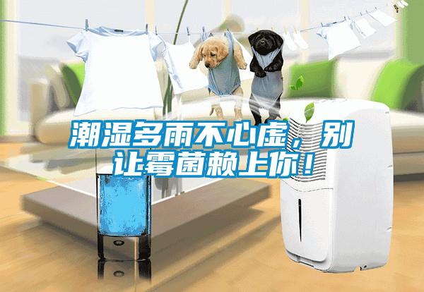 潮濕多雨不心虛，別讓霉菌賴上你！