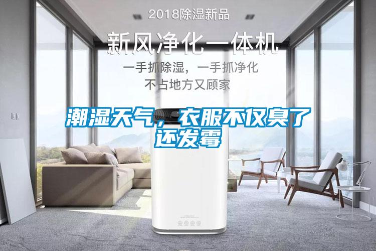 潮濕天氣，衣服不僅臭了還發(fā)霉